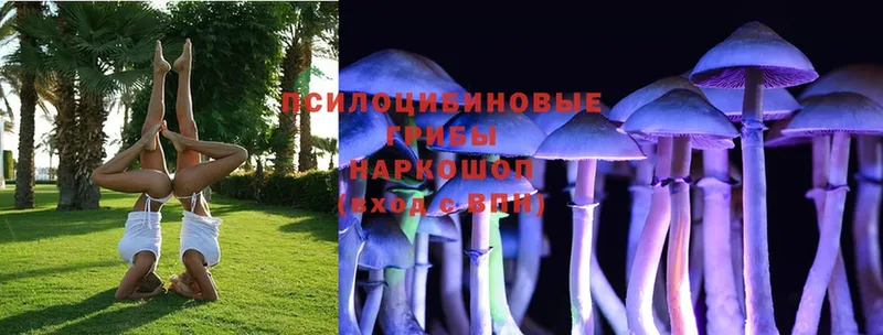 Галлюциногенные грибы MAGIC MUSHROOMS  Краснообск 